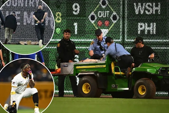 Pittsburgh pirates fan falls