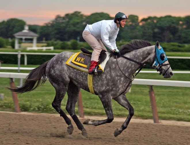 kentucky derby odds